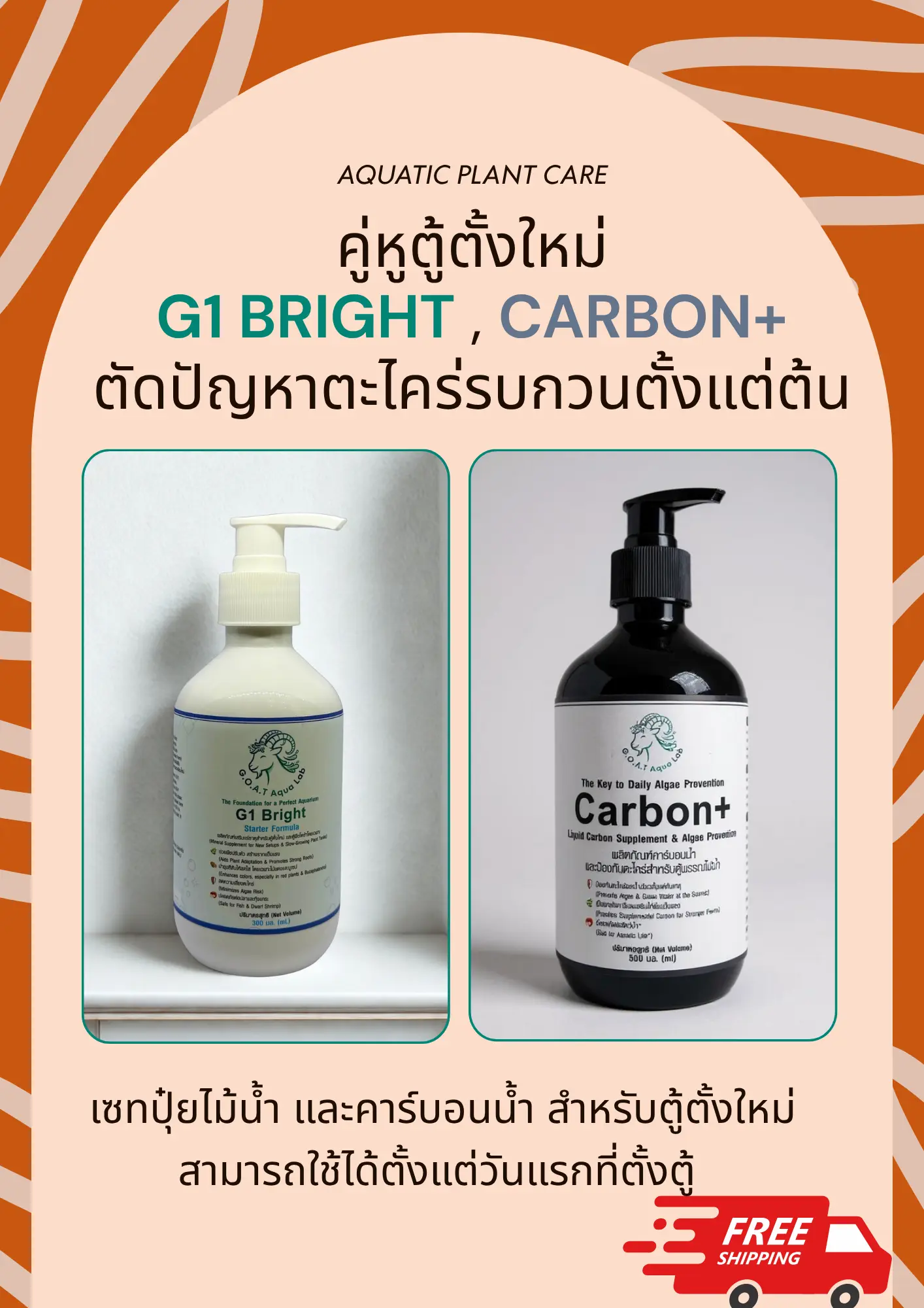 ตู้ไม้น้ำมือใหม่: 10 ขั้นตอนตั้งตู้ให้สำเร็จตั้งแต่สัปดาห์แรก