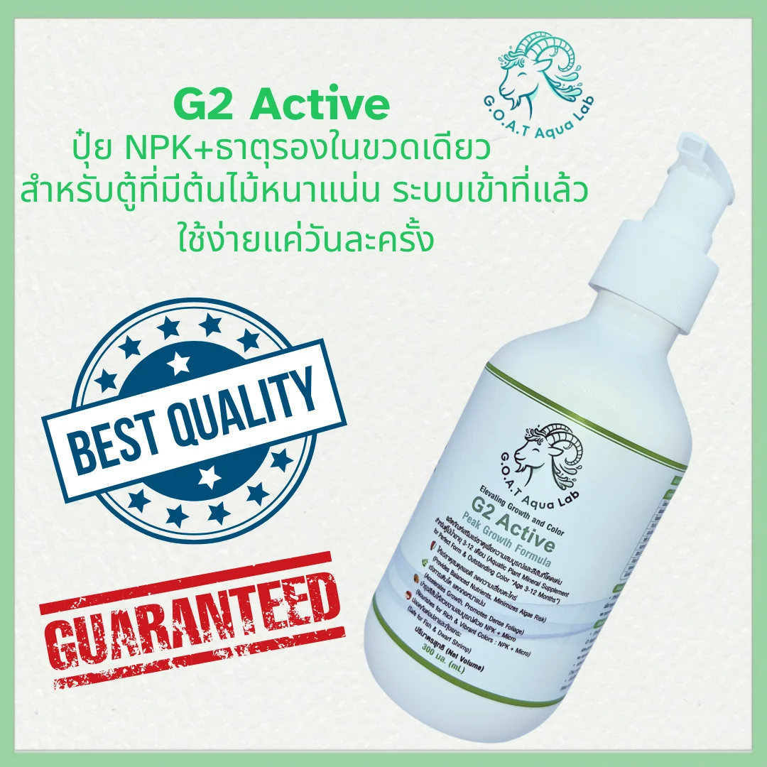 ปุ๋ย G2 Active สูตร NPK เร่งโตพืชน้ำช่วงพีก 3-12 เดือนในตู้ไม้น้ำ